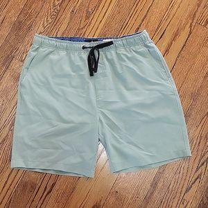 Men's Sage Green Swim Trunks